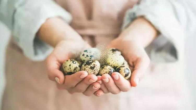 Tavuk yumurtasını tahtından etti Boyutu küçük ama etkisi 5 kat daha fazla