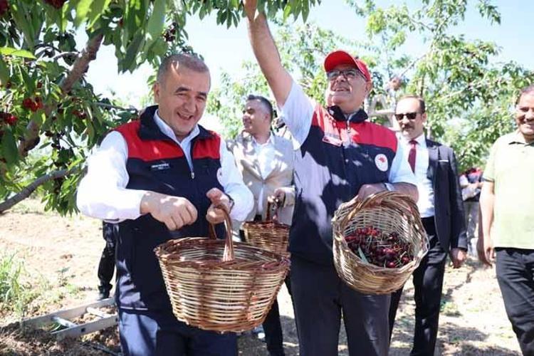 Fırat Havzasının gizli zenginliği: Geçen yılki don felaketinden sonra bu sene dallar doldu taştı