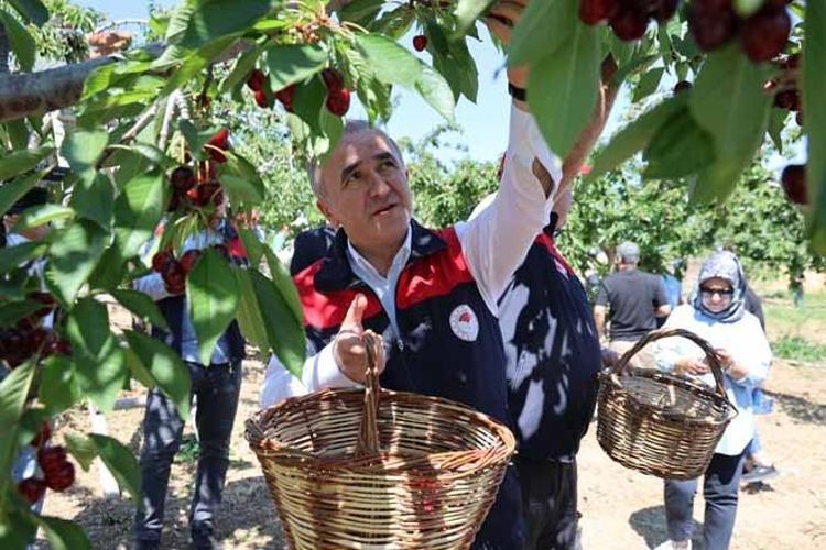 GEÇEN YIL YAŞANAN DON SIKINTISINDAN SONRA BU YIL BEREKET VAR