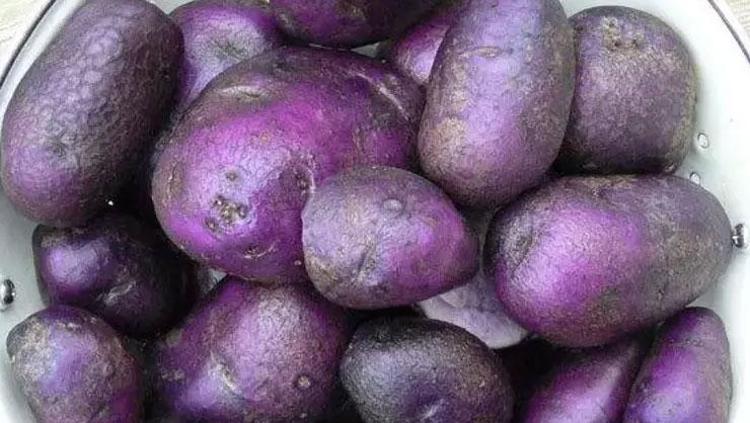 Klasik patatesin yerine bunu tüketin Faydalarını duyan hemen mutfağına stokluyor