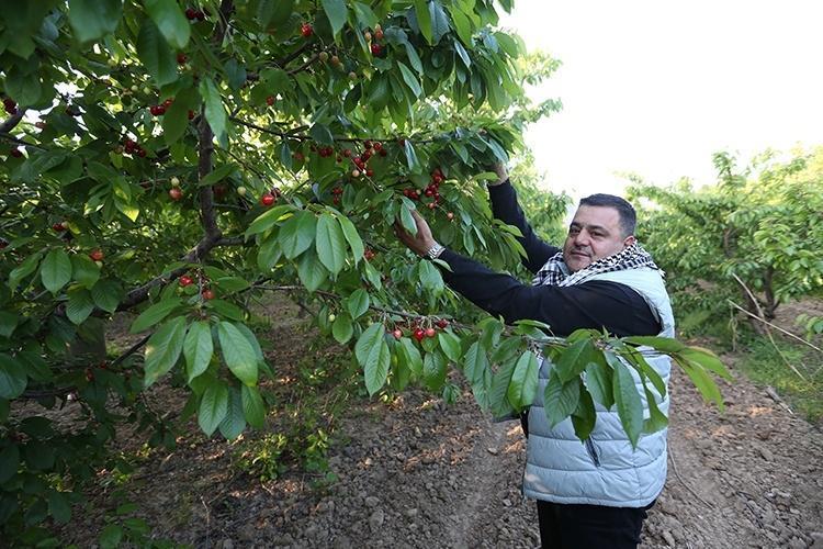 Desteği almasaydık batmıştık Tam 5 bin dönümlük dev bahçede küllerinden doğan mucize: Tonlarcası Avrupaya gidiyor