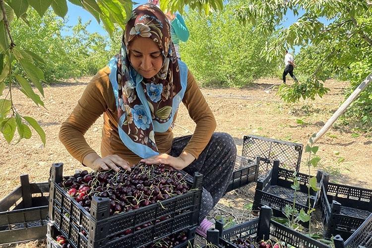O DESTEK OLMASAYDI MUHTEMELEN BATMIŞ OLURDUK