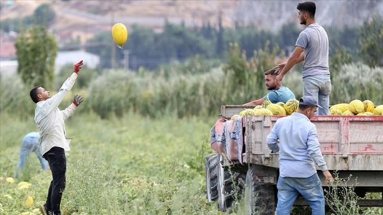 KIŞLIK SAKLAMA KÜLTÜRÜNÜN VAZGEÇİLMEZİ: AYLARCA BOZULMUYOR