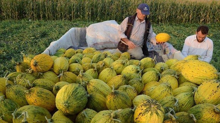 COĞRAFİ İŞARETLE TESCİLLENMİŞ DEĞER