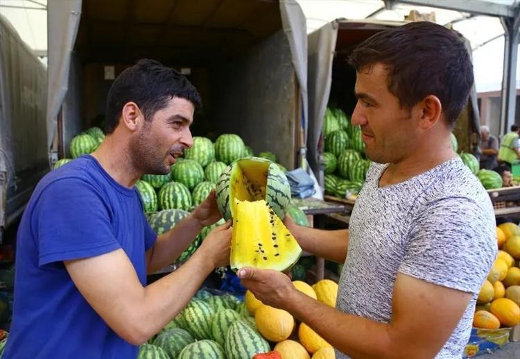 PİRİNÇ VE MISIR DEVRİ BİTTİ: ÇİFTÇİLERİ İŞ İNSANINA DÖNÜŞTÜREN SÜREÇ