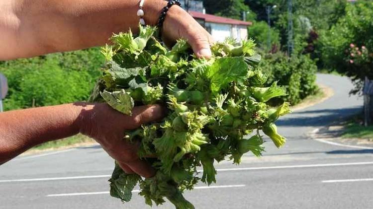 Bu detayı gören kilo kilo alıyor Tezgahlar açıldı, kilosu 200 TL