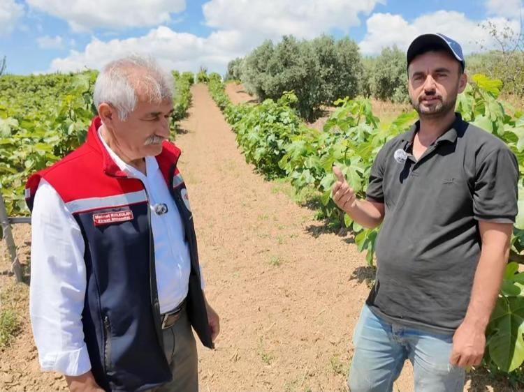 İnternetten izledi, bir yıl hazırlandı Şimdi bahçesinden bereket fışkırıyor