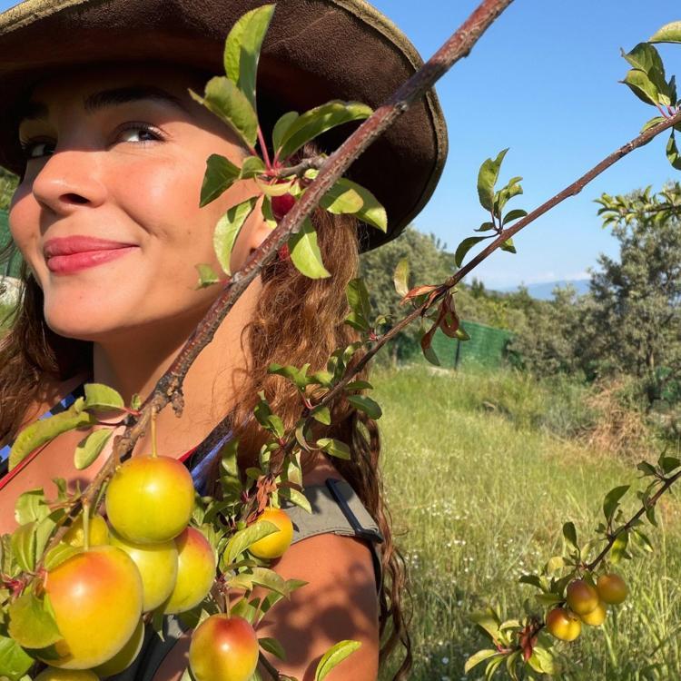 Ebru Şahin doğayla iç içe anlarını paylaştı Dalından erik topladı
