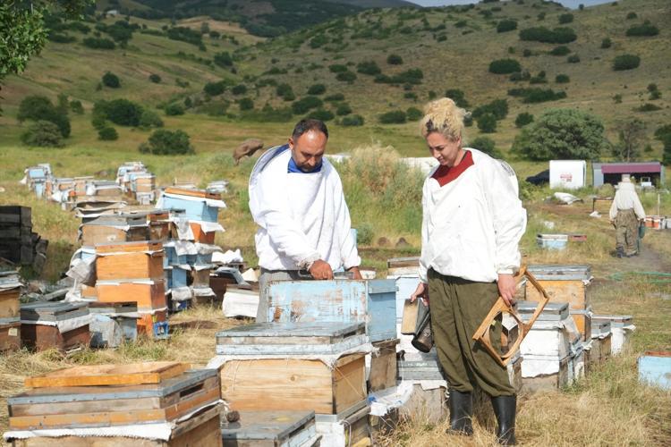 Arılarının başından bir an olsun ayrılmıyorlar Çadırda başlayan hikaye karavanla taçlandı