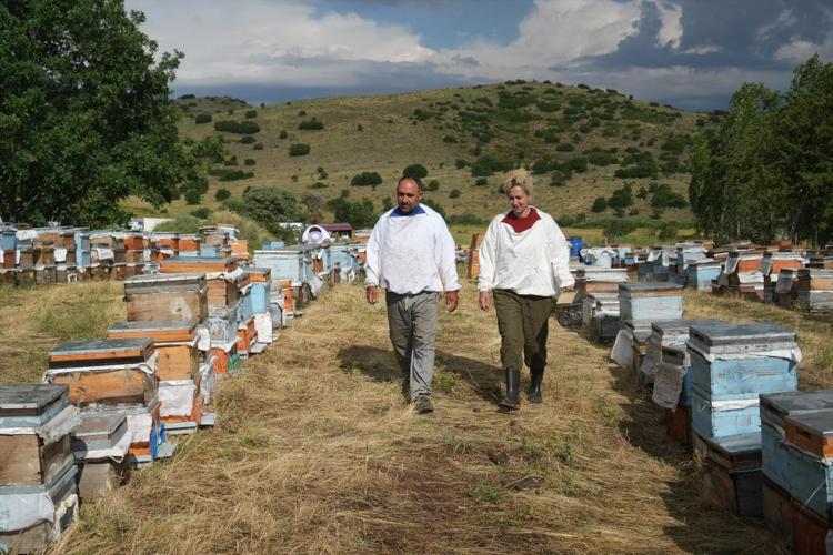 Arılarının başından bir an olsun ayrılmıyorlar Çadırda başlayan hikaye karavanla taçlandı