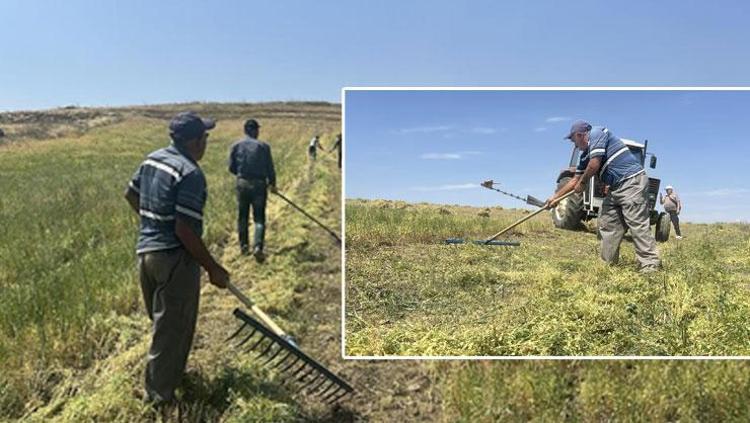 Yozgatta beklenen hasat başladı Geçen yıl kuraklıktan kırılmıştı, bu yıl rekor üstüne rekor kırıyor