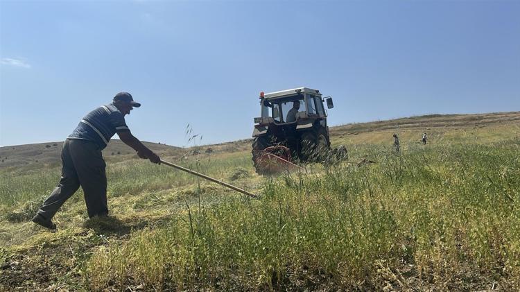 Yozgatta beklenen hasat başladı Geçen yıl kuraklıktan kırılmıştı, bu yıl rekor üstüne rekor kırıyor
