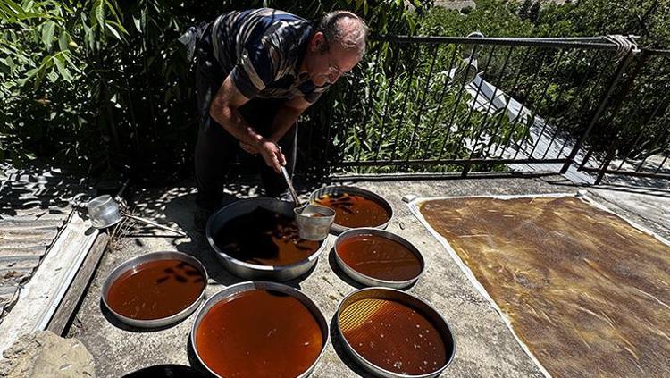 Asırlık ağacın meyvesinden şifa çıkartıyorlar Yaz sıcağında kazanlarda kaynatıp kışın Türkiyenin dört yanına kilo kilo satıyorlar