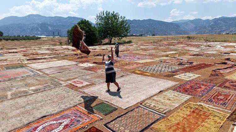 SÜTLEĞEN BİTKİSİ VE CEVİZ KABUĞUYLA GELEN TAMAMEN ORGANİK BOYALAR
