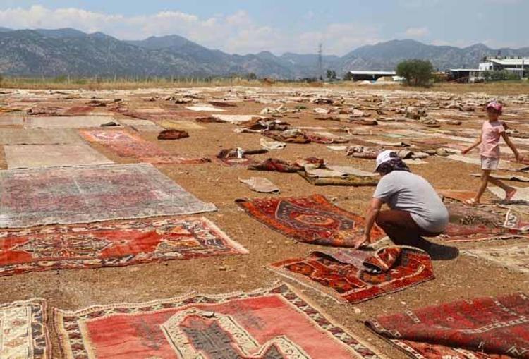 Evde çöpe gidiyordu: Antalya güneşinde tam 5 bin dolar kazandırıyor