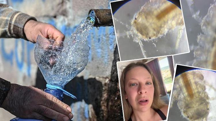 Yol kenarındaki çeşmeler aslında ne kadar güvenli Genetik mühendisi inceledi: İçindeki canlıyı görünce bir daha içemeyeceksiniz