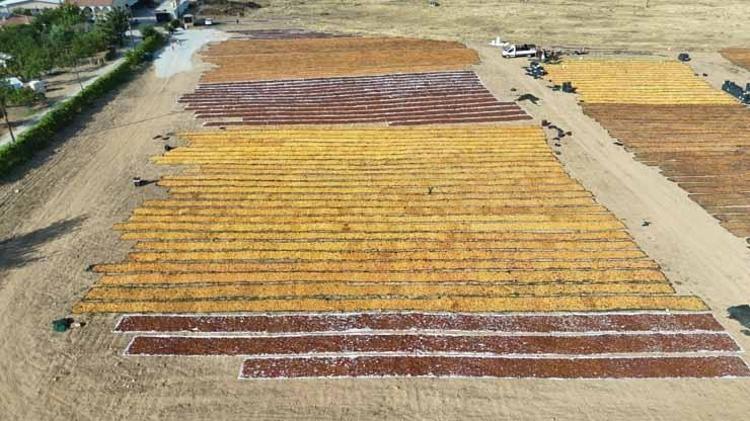 Dünya üretiminin %85i oradan çıkıyor Günlüğü 1300 TL olan o gizemli yolculuk havadan görüntülendi