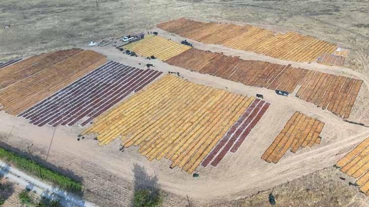 KADIN EMEKÇİLERE GÜNLÜK 1300 TL YEVMİYE İLE AİLE EKONOMİSİNE KATKI