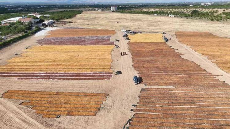 Dünya üretiminin %85i oradan çıkıyor Günlüğü 1300 TL olan o gizemli yolculuk havadan görüntülendi