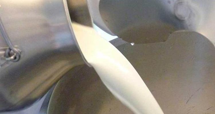 İnek sütü mü daha sağlıklı keçi sütü mü Hassas mideler için en doğru tercih belli oldu