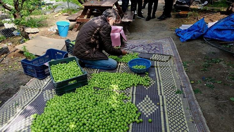 Kardiyologlar ısrarla öneriyor: Damar çeperlerini çelik gibi yapıyor 1 Porsiyonu bile damar sertliğini sıfırlamaya yetiyor