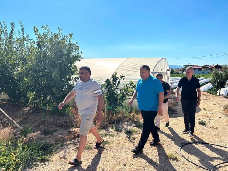 Hibrit tohumlar kenara çekilsin Sarıgölün kırmızı altınında büyük hasat başladı
