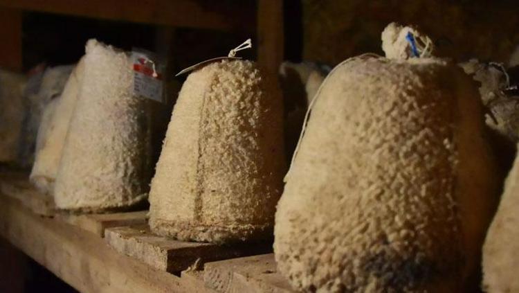 Fransızların Rokfor’una kök söktüren Türk mucizesi Yerin metrelerce altında saklanıyor
