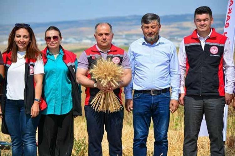 Mart ayında ekildi, temmuzda rekor kırdı Çorumda ezber bozan Kirvenin sırrı ne