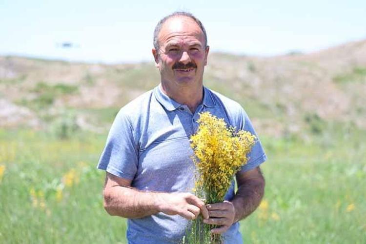İstanbuldakiler haberi alır almaz yollara düştü Sivasın dağlarında yetişiyor Doğanın sunduğu en renkli eczane