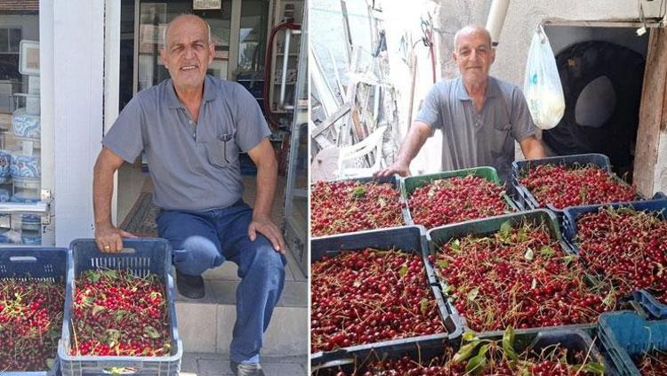 Kütahyada hasat ediliyor, tüccarlar alıma başladı Kilosu 40 TL: Soğuk hava depolarında muhafaza ediliyor