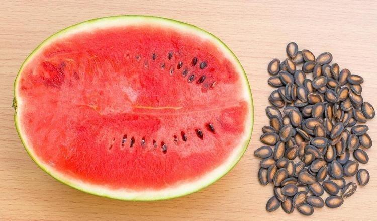 KALP VE DAMAR SİSTEMİNE GÜÇLÜ BİR KALKAN