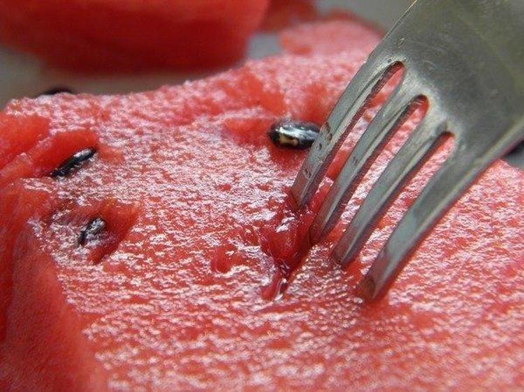 DOĞRU TÜKETİM YÖNTEMLERİYLE ŞİFAYA DÖNÜŞTÜRÜN