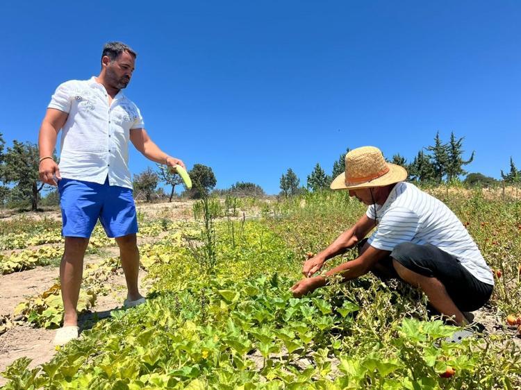 Çeşme sahillerinde bir ilk Ne elektrik parası ödüyor ne de hale gidiyor: Sebebini duyanlar hayran kalıyor...
