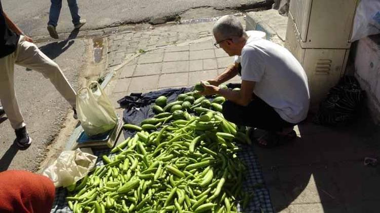 Ne bir damla su var ne de ilaç istiyor Avrupa almak için sıraya girdi Kilosu 50 liradan kapış kapış giden o ürün...