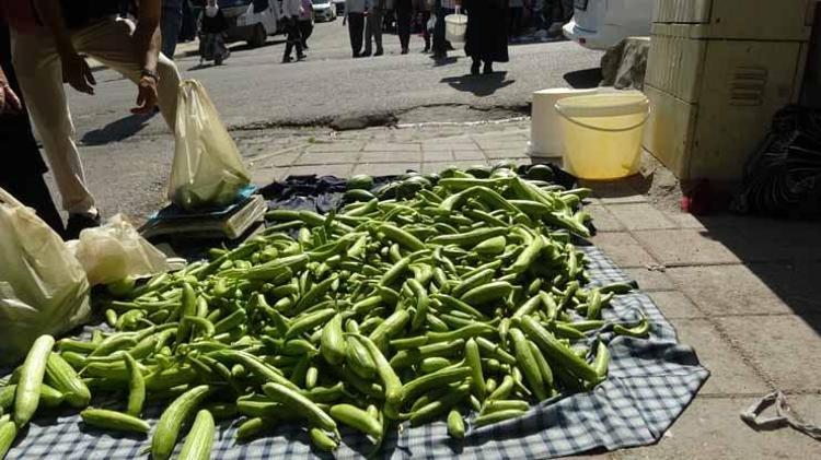 Ne bir damla su var ne de ilaç istiyor Avrupa almak için sıraya girdi Kilosu 50 liradan kapış kapış giden o ürün...