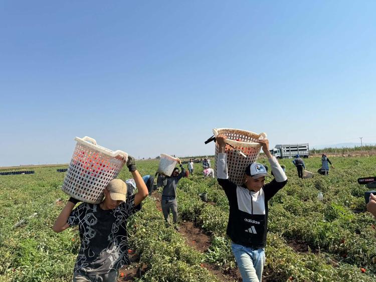 İŞÇİ BULMAKTA ZORLANIYORUZ, ÜCRET YETERSİZ AMA ÇİFTÇİYİ DE DÜŞÜNMEK LAZIM