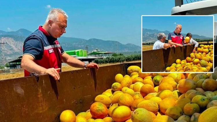 Tadıyla büyülüyor, kazancıyla ihya ediyor Bölge ekonomisinin tescilli gözdesi için sahaya indiler