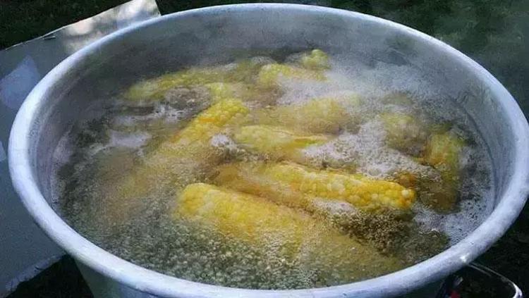 En güzel süt mısır nasıl yapılır Pazardan alıp hemen böyle pişirin