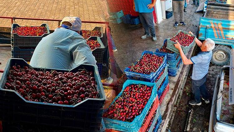 Avrupa ve Rusya’dan kilo kilo talep yağıyor Dünya sofralarını süsleyen Türk lezzeti