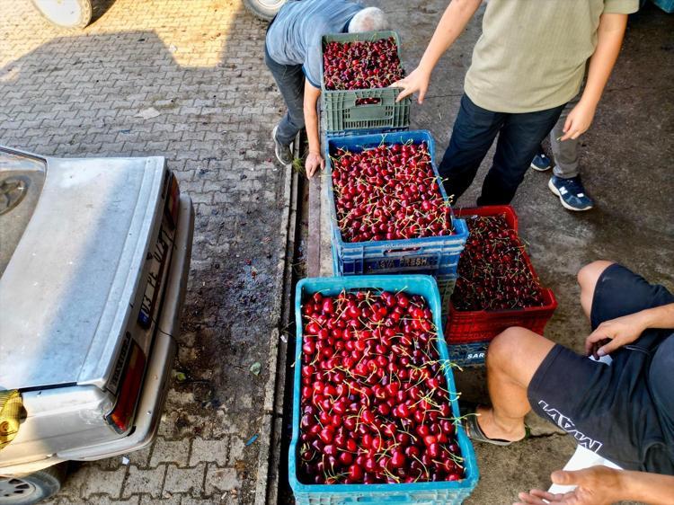 Avrupa ve Rusya’dan kilo kilo talep yağıyor Dünya sofralarını süsleyen Türk lezzeti