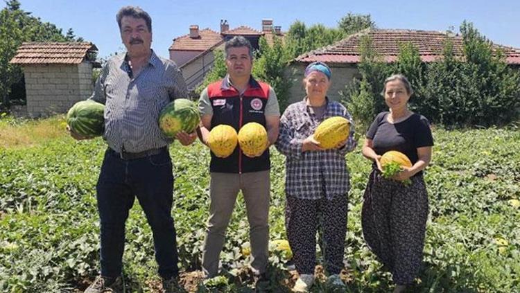 Denizlide bereketli hasat başladı Bölge ekonomisinin gizli altını