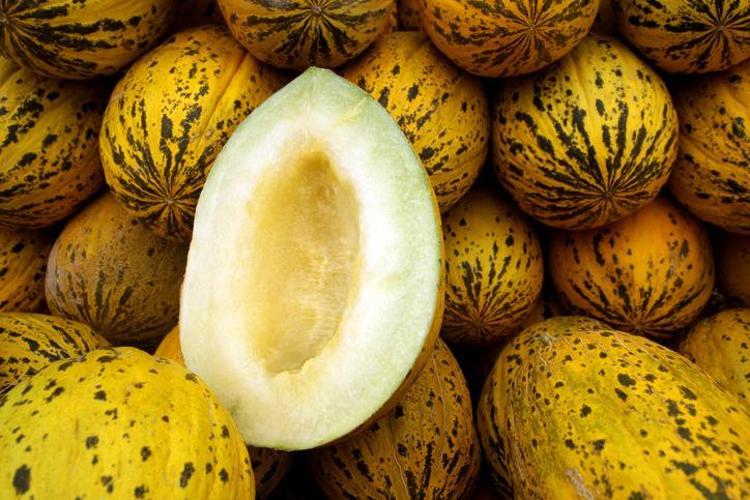 Denizlide bereketli hasat başladı Bölge ekonomisinin gizli altını