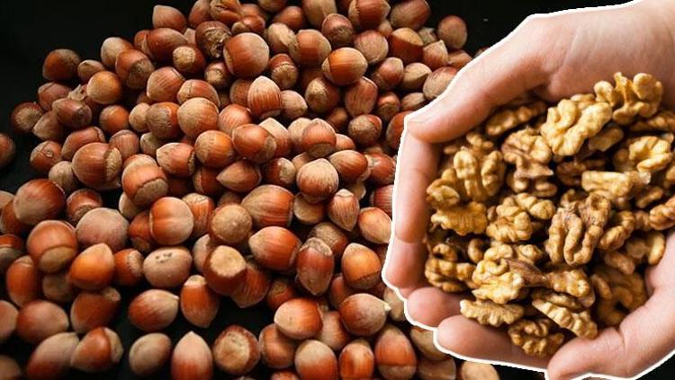 Ceviz mi daha sağlıklı yoksa fındık mı İkisini aynı kefeye koymak büyük yanılgı