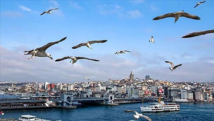 100 BİN KİŞİLİK ETKİNLİK
