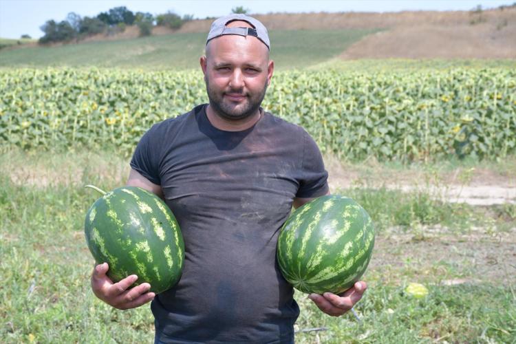 Babaeskide hasadı başladı İnce kabuğu, bol suyu ve yüksek şeker oranıyla damak çatlatıyor