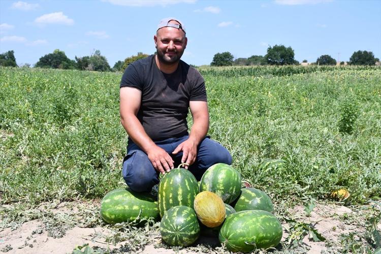 Babaeskide hasadı başladı İnce kabuğu, bol suyu ve yüksek şeker oranıyla damak çatlatıyor