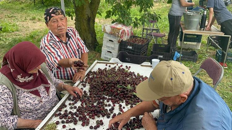 Rekor geldi ama yüzler gülmedi Konya ve Afyonkarahisar’da üretimde tarihi patlama: Fiyatlar en dibi gördü