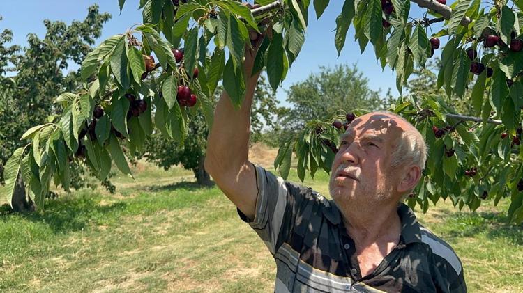 Rekor geldi ama yüzler gülmedi Konya ve Afyonkarahisar’da üretimde tarihi patlama: Fiyatlar en dibi gördü