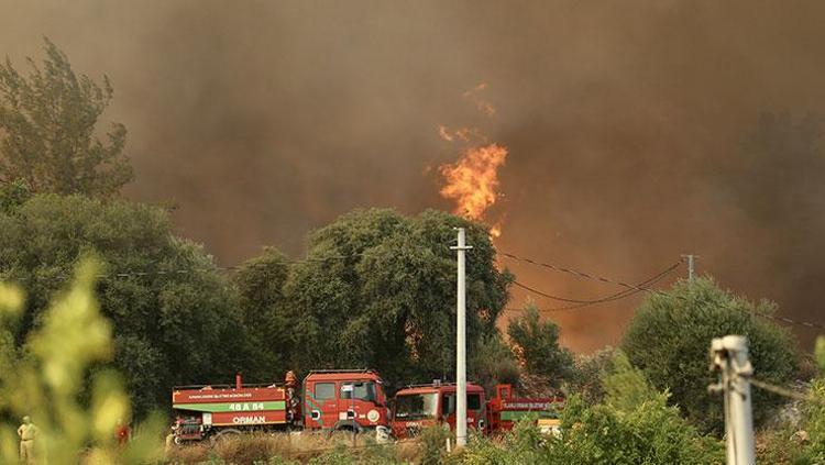 Fethiyedeki orman yangınında son durum: Havadan müdahale yeniden başladı
