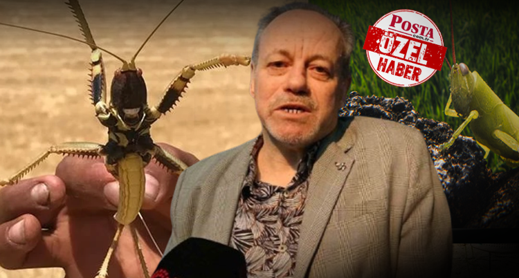 Dev çekirgeler neden bir anda ortaya çıktı Panik yaratan görüntülerin perde arkası: Avrupadan gelmediler
